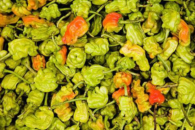 《马里奥赛车世界》大金刚服装太少 玩家猜测会有DLC